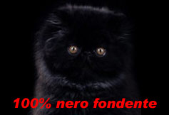 100% nero fondente...